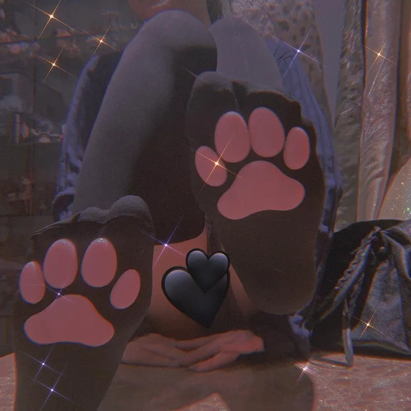 Cat Claw Socks