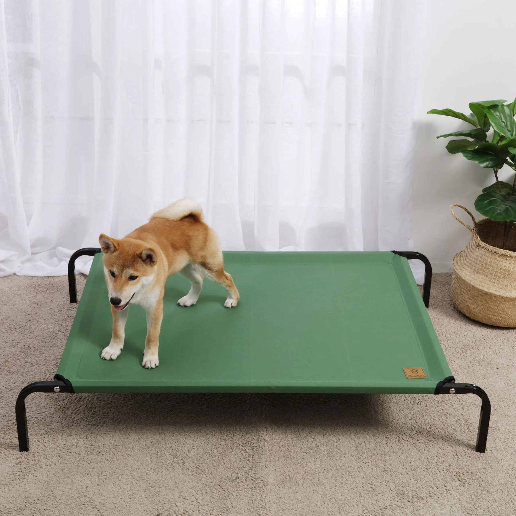 Charlie's Trampoline Hammock Bed Green Extra Large